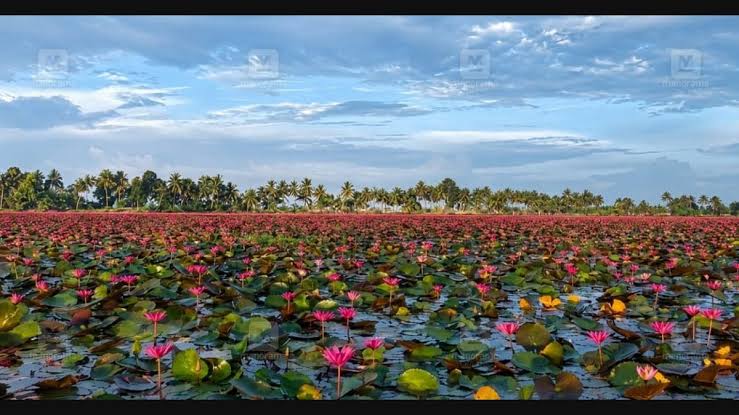 Scenic view of Malarikkal Kottayam Kerala